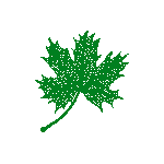Artykuły