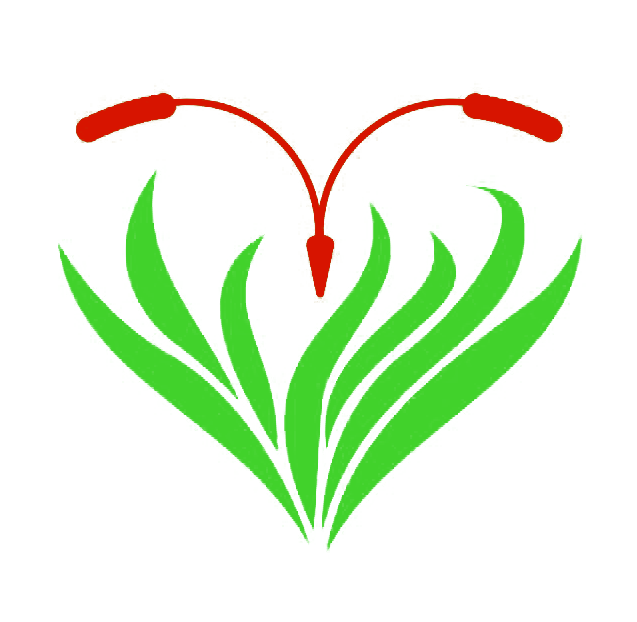 Radiestezja Bioenergoterapia Naturoterapia - Jakub Zemła